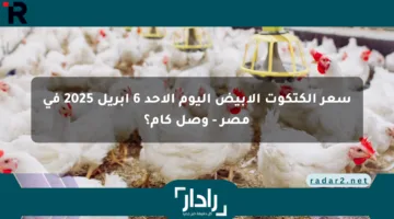 سعر الكتكوت الأبيض اليوم الأحد 6 أبريل 2025 في مصر – وصل كام؟
